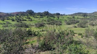 Land for sale in Almodôvar, Portugal — €55,000