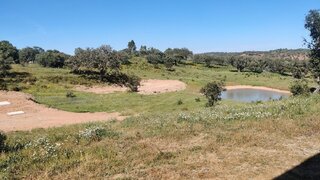 Land for sale in Almodôvar, Portugal — €125,000