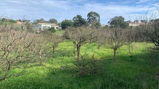 Land for sale in Sesimbra, Portugal — €228,000
