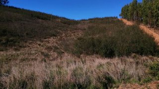 Terreno em Odemira