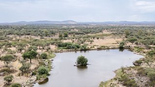 Land for sale in Mora, Portugal — €2,650,000