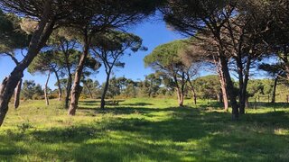 Land for sale in Sesimbra, Portugal — €100,000