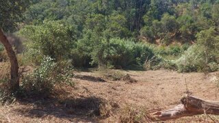 Terreno em Santiago do Cacém · 23 250 m² · 49 500 €
