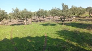 Land for sale in Elvas, Portugal — €180,000