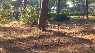 Land for sale in Sesimbra, Portugal — €25,000