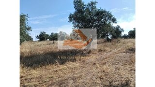 Land for sale in Aljustrel, Portugal — €250,000