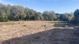 Land for sale in Sesimbra, Portugal — €320,000