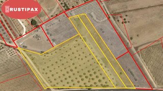 Land for sale in Vidigueira, Portugal — €34,000