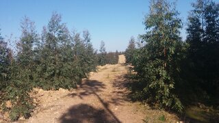 Land for sale in Nisa, Portugal — €270,000