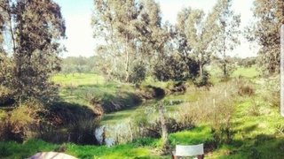 Terreno em Aljustrel