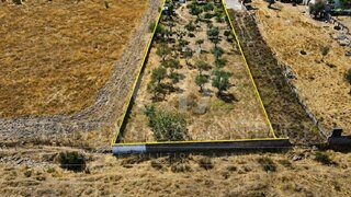 Land for sale in Alter do Chão, Portugal — €57,500
