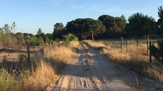 Terreno em Grândola · 50 000 m² · 390 000 €