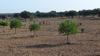 Land for sale in Grândola, Portugal — €532,000