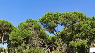 Terreno para venda em Sesimbra, Portugal — 130 000 €