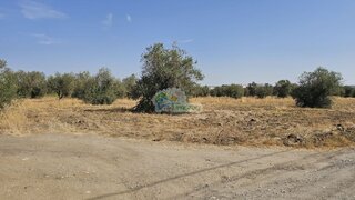 Land for sale in Reguengos de Monsaraz, Portugal — €300,000