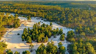 Land for sale in Alcácer do Sal, Portugal — €6,000,000