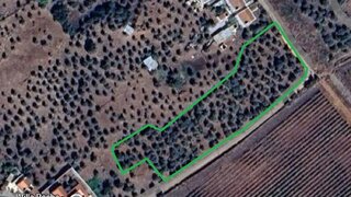 Terreno em Borba