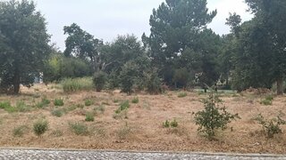 Land for sale in Palmela, Portugal — €595,000