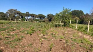 Land for sale in Sesimbra, Portugal — €315,000