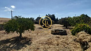Terreno em Mértola