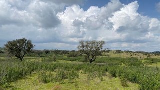Land for sale in Grândola, Portugal — €200,000