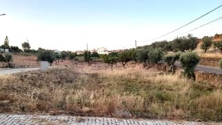 Land for sale in Castanheira de Pêra, Portugal — €25,000
