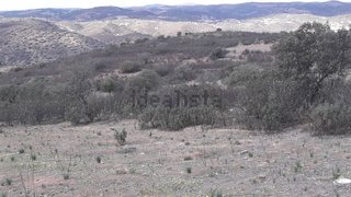 Terreno para venda em Mértola, Portugal — 28 500 €