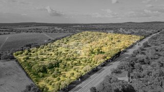 Land for sale in Montemor-o-Novo, Portugal — €200,000