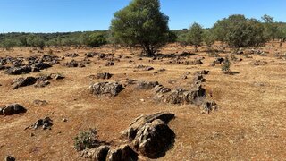 Land for sale in Estremoz, Portugal — €300,000
