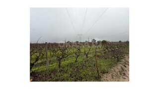 Land for sale in Palmela, Portugal — €199,000
