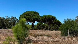 Land for sale in Sesimbra, Portugal — €315,000