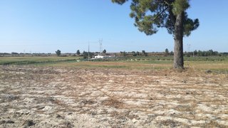 Land for sale in Palmela, Portugal — €160,000