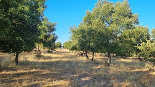 Land for sale in Moura, Portugal — €460,000