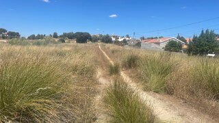 Land for sale in Avis, Portugal — €30,000