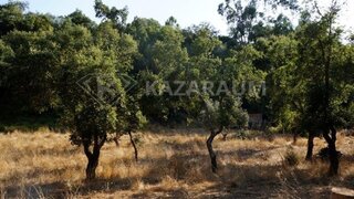 Land for sale in Odemira, Portugal — €55,000