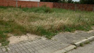 Terreno em Vidigueira