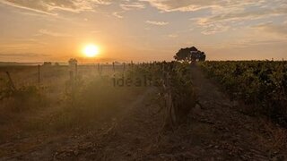 Land for sale in Montijo, Portugal — €285,000