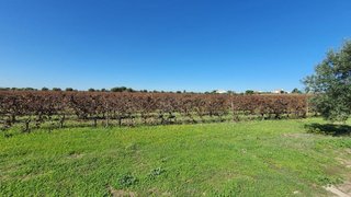 Land for sale in Sousel, Portugal — €150,000