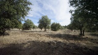 Land for sale in Montemor-o-Novo, Portugal — €120,000