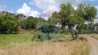 Terreno para venda em Abrantes, Portugal — 90 000 €