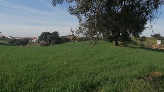 Land for sale in Almodôvar, Portugal — €670,000