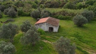 Land for sale in Vidigueira, Portugal — €290,000