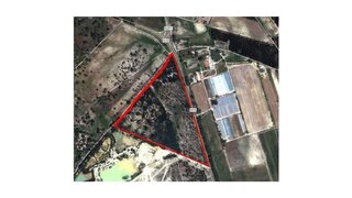 Land for sale in Castelo Branco, Portugal — €1,400,000