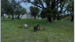 Land for sale in Grândola, Portugal — €800,000