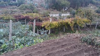 Land for sale in Trofa, Portugal