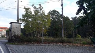 Land for sale in Vila Nova de Famalicão, Portugal