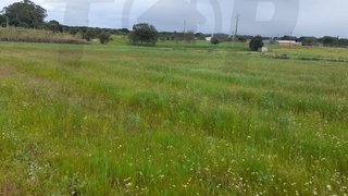 Terreno em Benavente