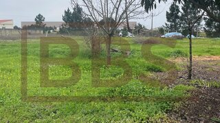 Land for sale in Salvaterra de Magos, Portugal — €52,500
