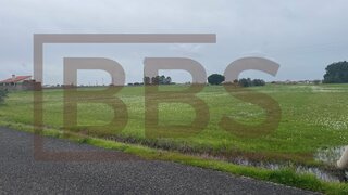 Land for sale in Salvaterra de Magos, Portugal — €52,500