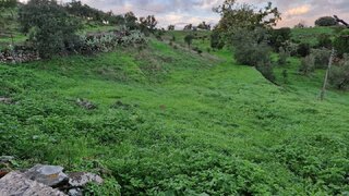 Land for sale in Almodôvar, Portugal — €21,000
